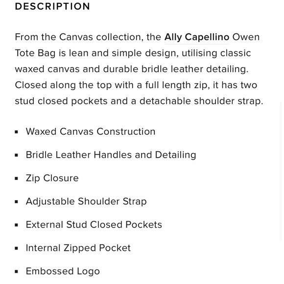 ALLY CAPELLINO OWEN TOTE BAG - Picture 5 of 5